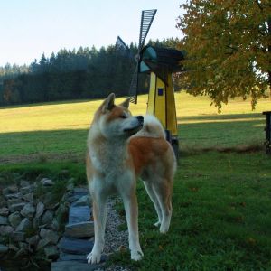 12113405 1143401659021446 2131363962644509126 o