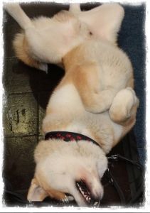 1238281 682901471738136 405685803 n