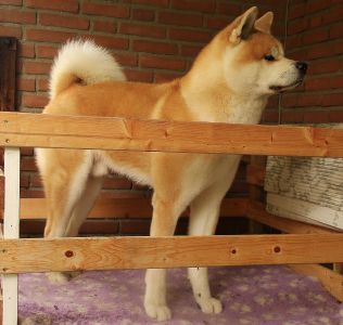 14138682 1379831238711819 4039457201637303583 o