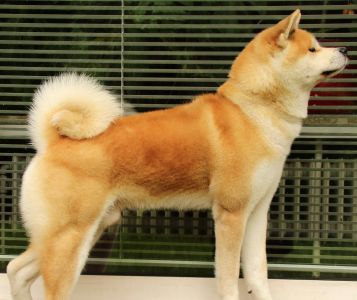 14188285 1379831008711842 3302260350819631042 o