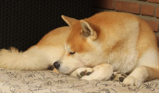 14188434 1379831338711809 1832515632016858218 o