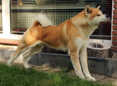 14195269 1379831398711803 6465628491580061860 o