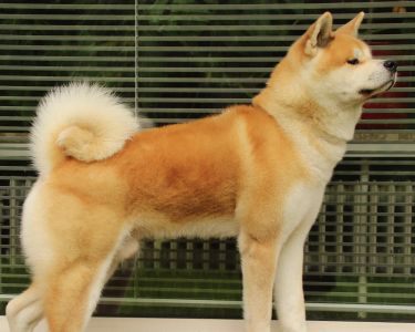 14196020 1379831038711839 7645486132412342840 o