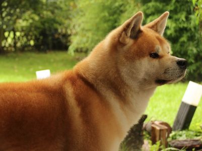 14206039 1379831215378488 5215996011119442828 o