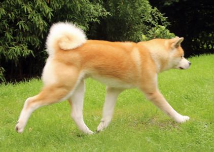 14231122 1379831002045176 1520756550493007435 o