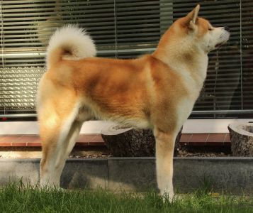 14231822 1379831348711808 2812142668259616215 o