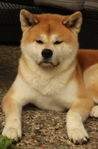 14241451 1379831335378476 7854602563759900393 o