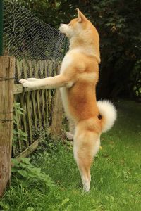 14257630 1379831065378503 1014557559276844007 o