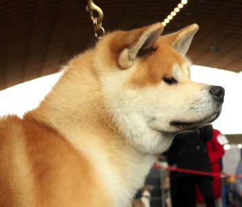 14500314 1407904879237788 1908924604616471673 o