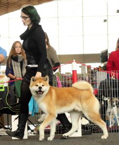 14567614 1407904882571121 1570540939702009900 o