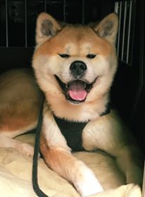 60646295 2652003891494541 2180969893099208704 n