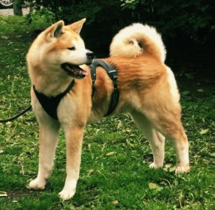 60692173 2652003811494549 5344327097466748928 n