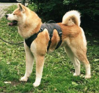 61076864 2652003818161215 2824060169577562112 n