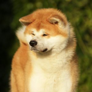 83059939 3149829305045328 723331320813453312 o