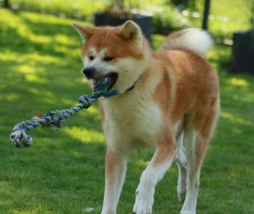 118559217 3730175087010744 5861645089712378156 n