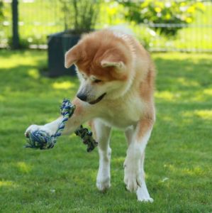 118614830 3730175267010726 1957285909888247491 n