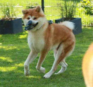 118615016 3730176040343982 5842375218043929032 n