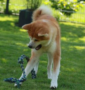 118615203 3730175170344069 8331134192080436153 n