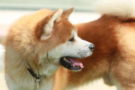 118615205 3730185873676332 336890485767910576 n