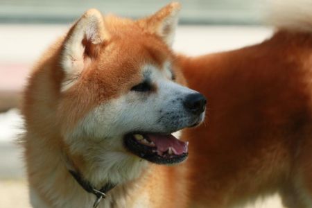 118621931 3730185730343013 2997098057282032666 n