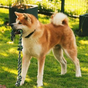 118652405 3729916483703271 8265026377713702712 n