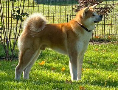 120202633 3820857367942515 8471191103941625089 n