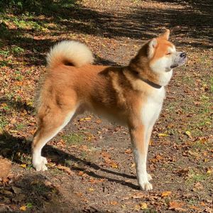 121321595 3863376383690613 3991010091185407831 n