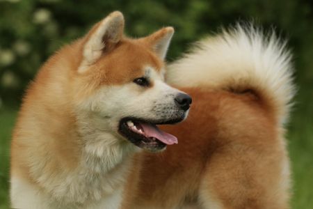 64392263 2699331166761813 6346740393832349696 o