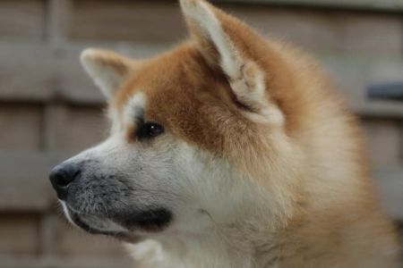 64900621 2712363895458540 6427288717307674624 n