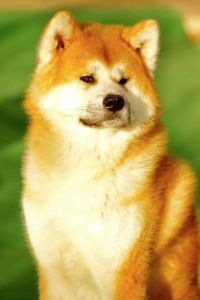 81165875 3106449012716691 7274082321903386624 n