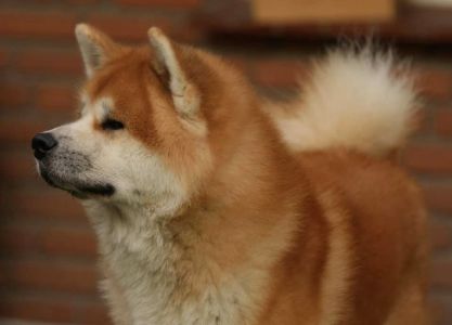 83290103 3143317165696542 4536632366872920064 n