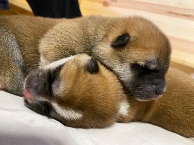 Photo 03.04.20  18 47 18