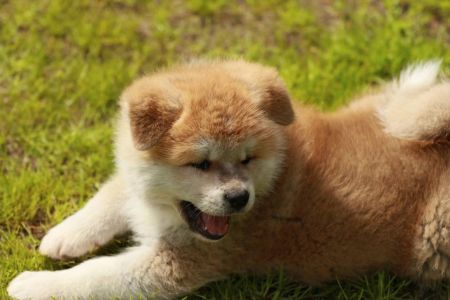 97975245 3430741320287457 6727021286461014016 n