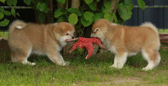 97975252 3430743590287230 9001986998394683392 n