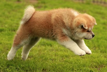 97980264 3426280627400193 6549302600678768640 o