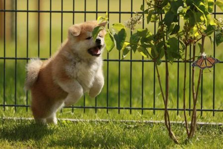 98061289 3430742190287370 3280475460676354048 n