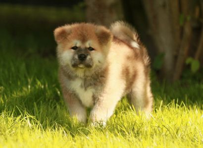 98596251 3426283794066543 4974835802635763712 o