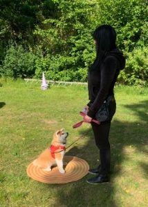 101964311 3483116035049985 7083192024901088713 n