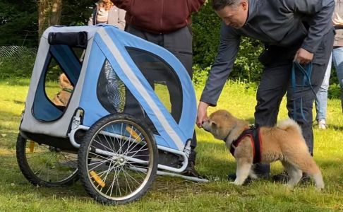 102391619 3483115845050004 6209089209331714861 n