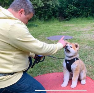 102611047 3483116148383307 5729486723808632365 n