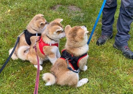 102811459 3483116341716621 7680348311065078610 n