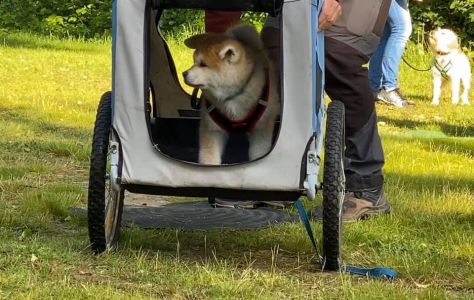 103195207 3483116008383321 6705329107801436513 n