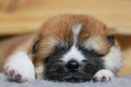 184391886 4462263177135261 5428647072672832843 n