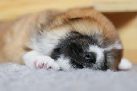 184475905 4462263353801910 4772336576500230121 n