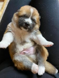 184562850 4462263737135205 2813910373951672829 n