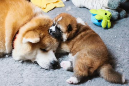 185253443 4469159493112296 4469511094271010982 n