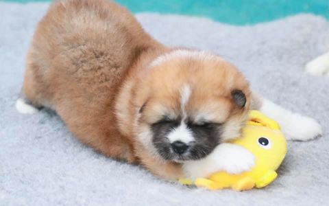 186434706 4477580128936899 946091791675076230 n