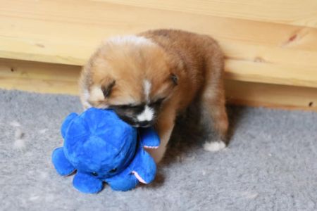 186461833 4477579955603583 5204735851208624104 n