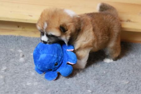 186472389 4477579782270267 8287568912164822669 n