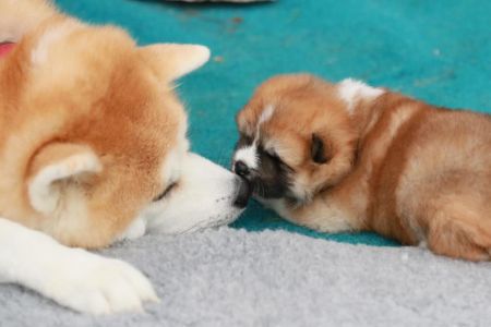 186472603 4477579238936988 3188181239560703358 n